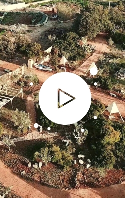 video del Carrubo